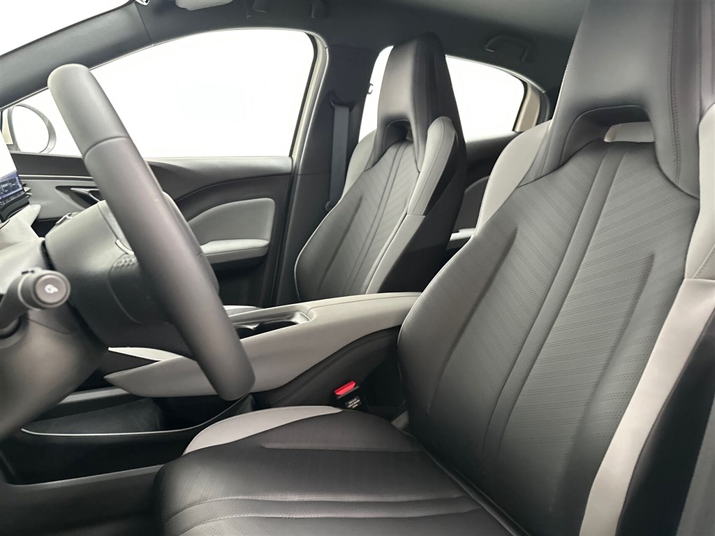 BYD Dolphin Surf Boost billede 19