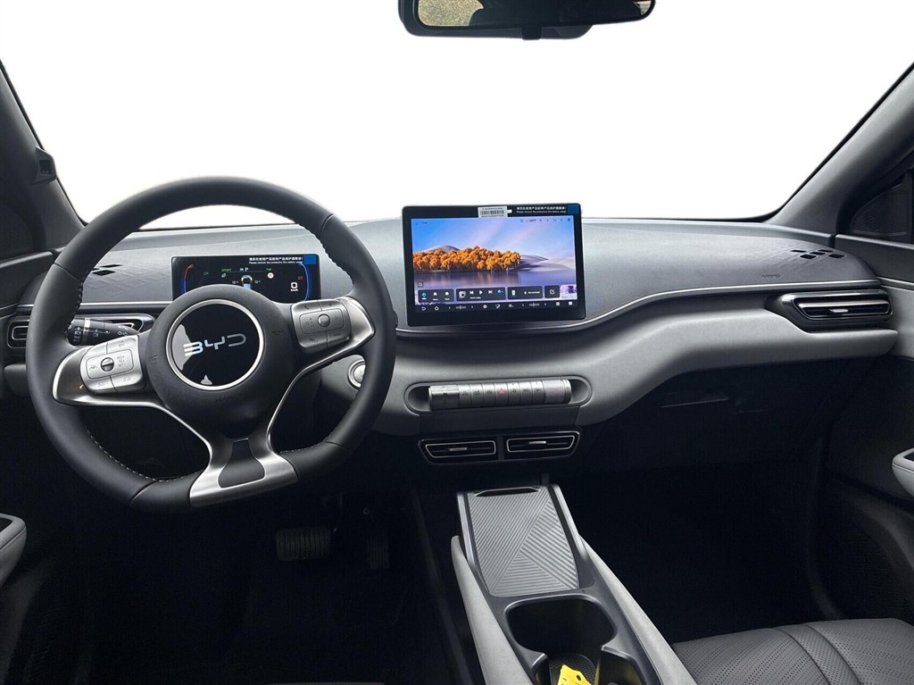BYD Dolphin Surf Boost billede 4