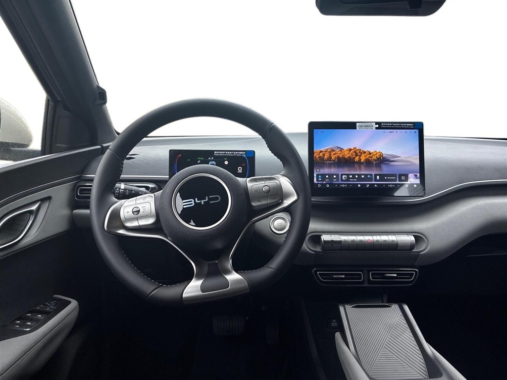 BYD Dolphin Surf Boost billede 9