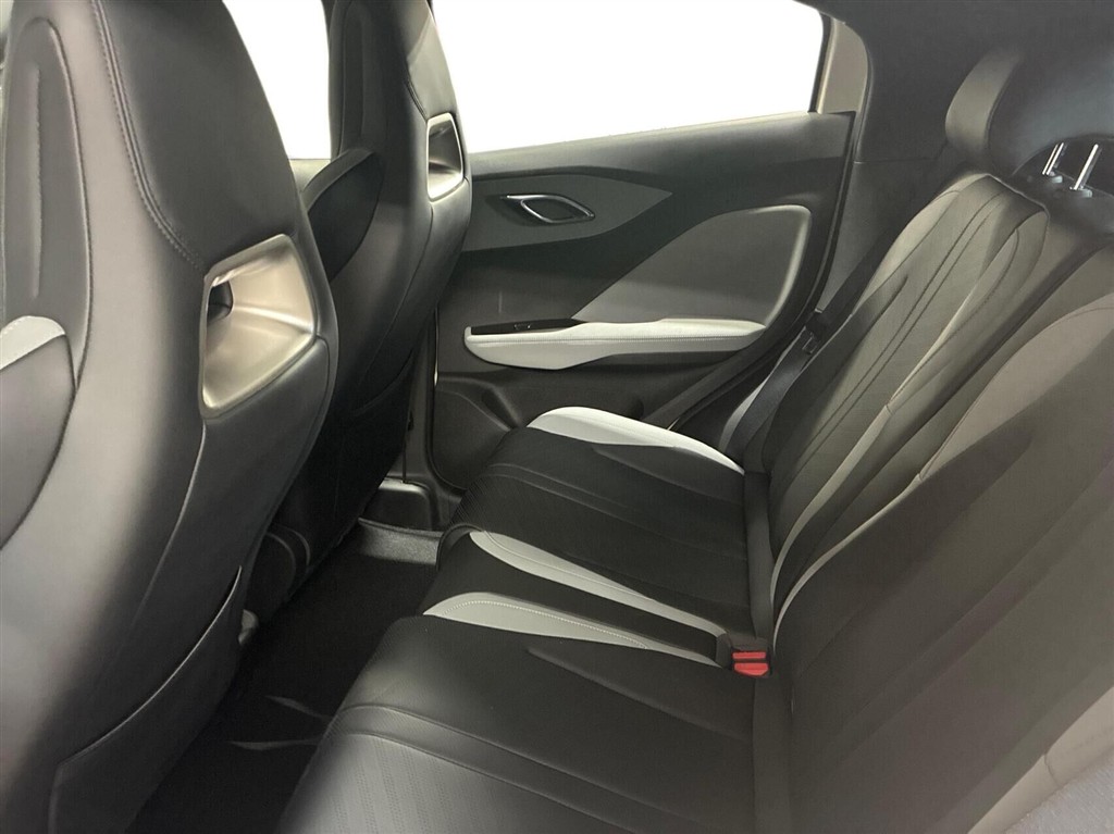 BYD Dolphin Surf Boost billede 12