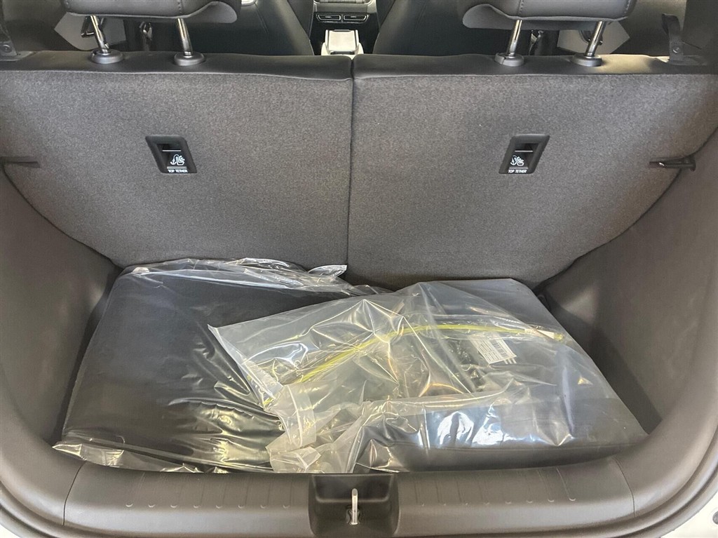 BYD Dolphin Surf Boost billede 13