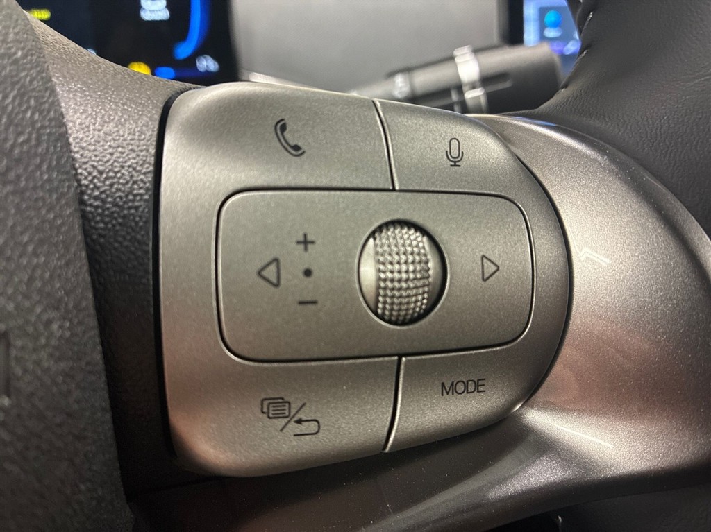 BYD Dolphin Surf Boost billede 18