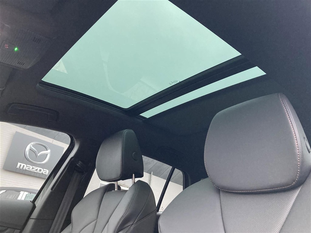 Skoda Enyaq Founders Edition billede 8