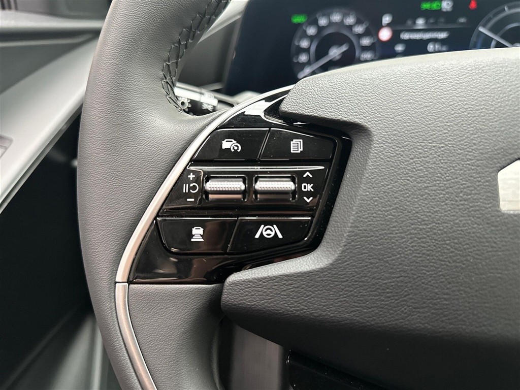Kia Niro EV Access billede 16