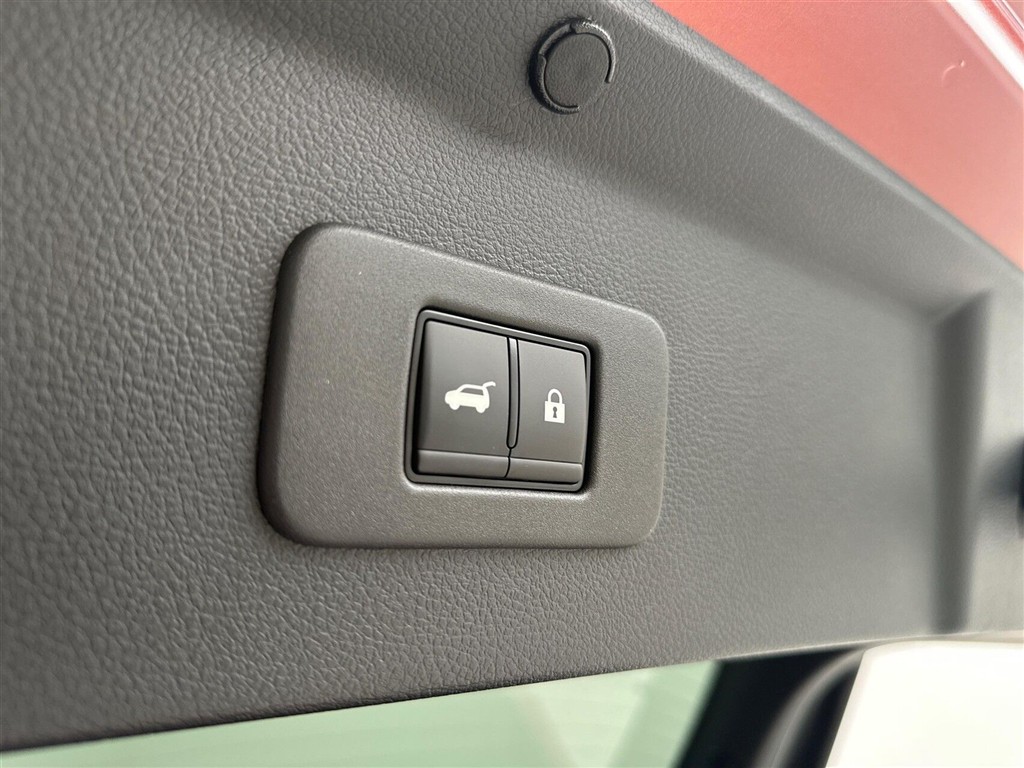Nissan Leaf Evolve billede 21