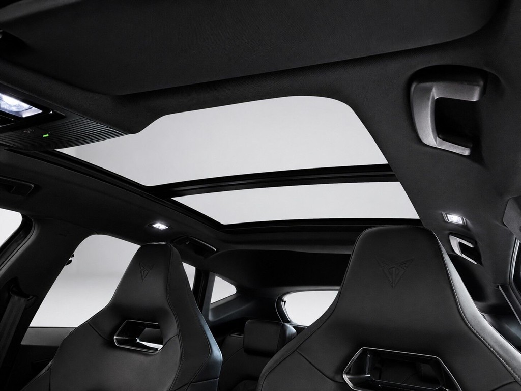 Cupra Formentor VZ billede 11