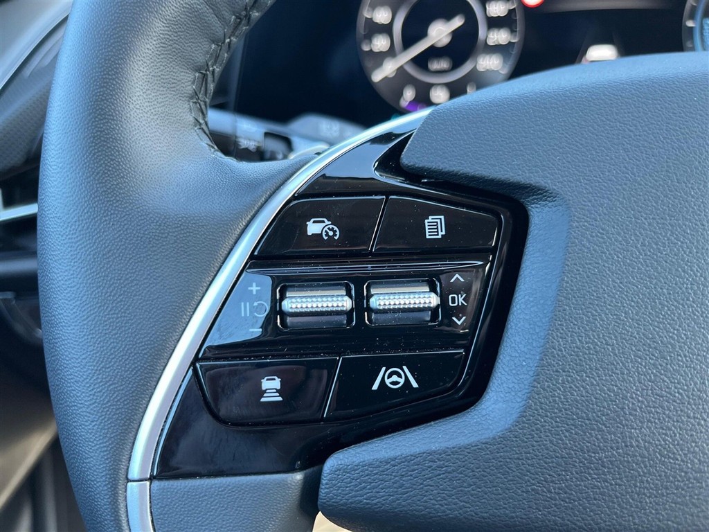 Kia Niro EV Upgrade Level Up billede 15