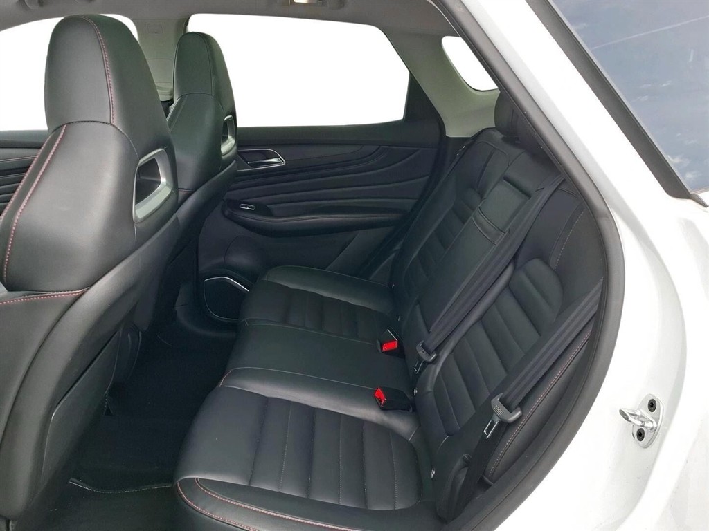 MG EHS Luxury billede 7
