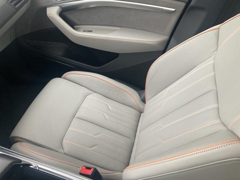 Audi E-tron Advanced Prestige generic.image 29
