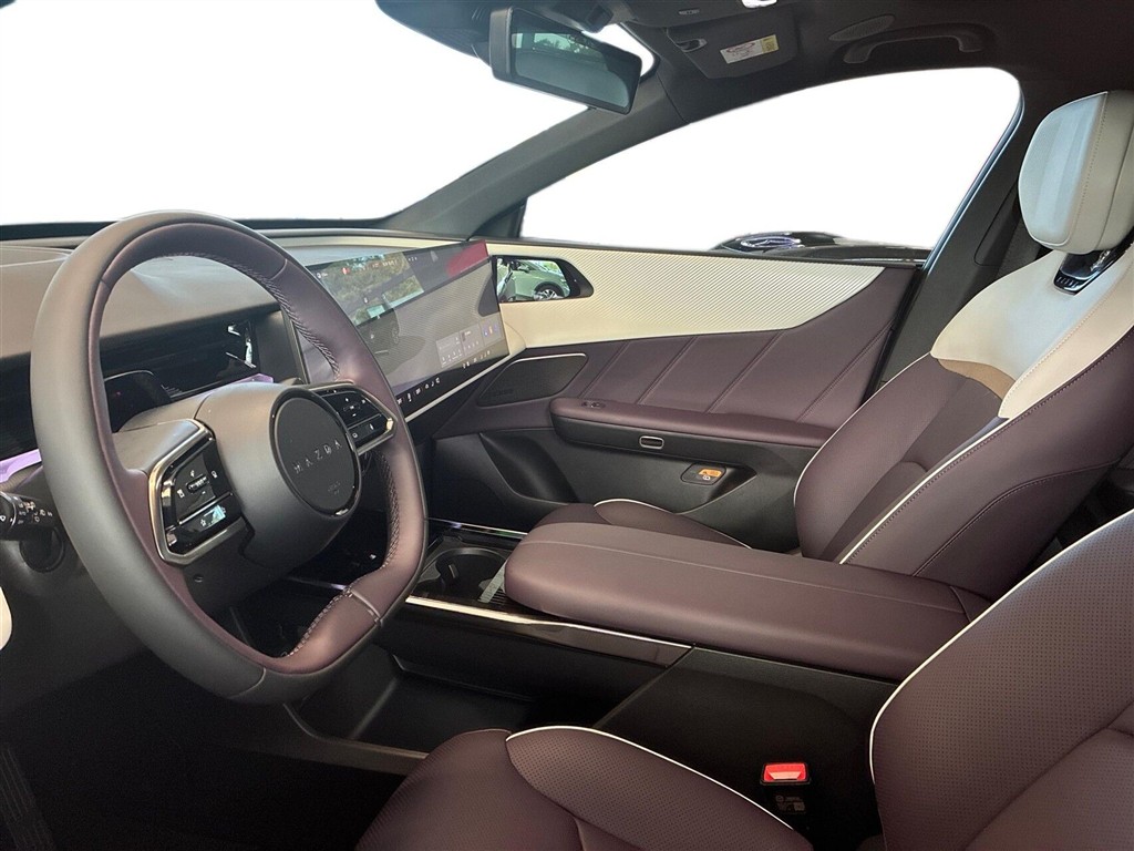 Mazda CX-6e Takumi Plus billede 24