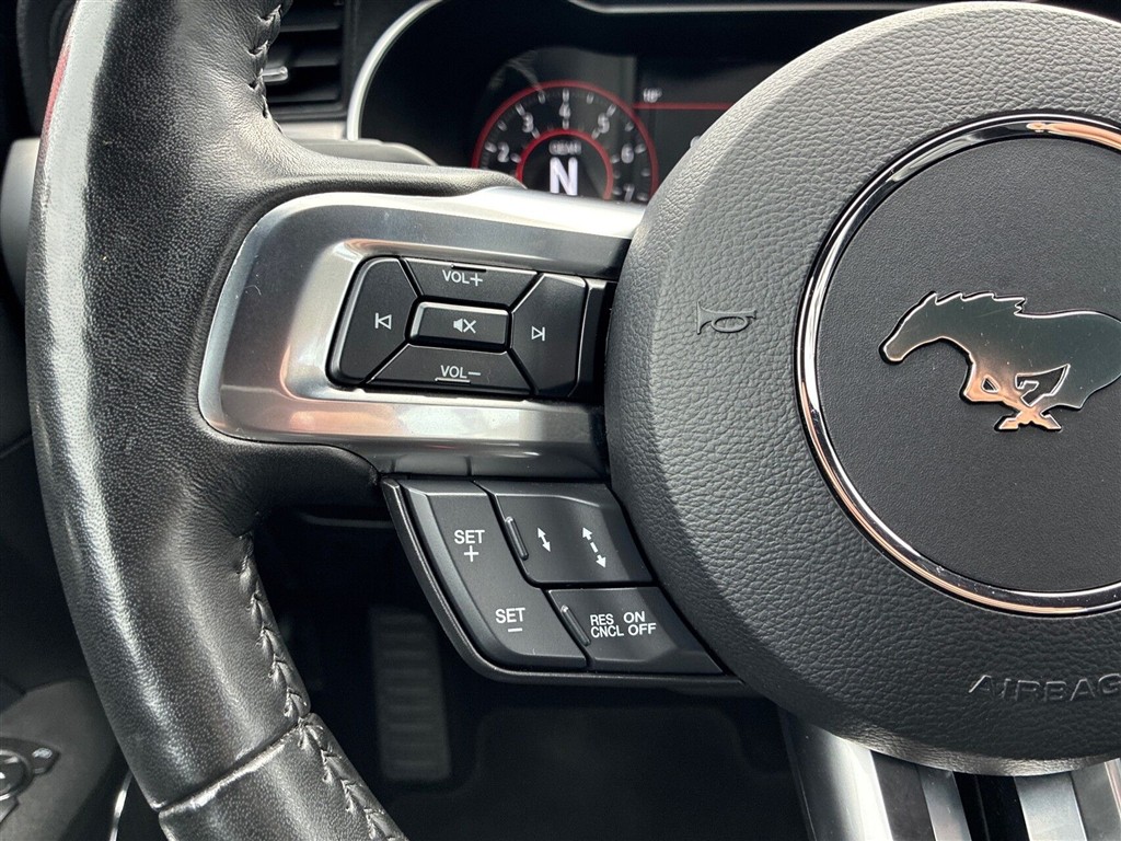 Ford Mustang GT billede 15