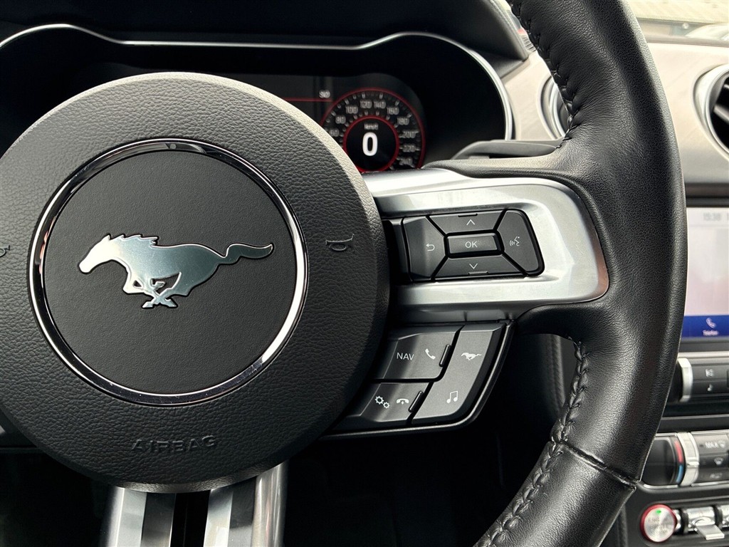 Ford Mustang GT billede 16