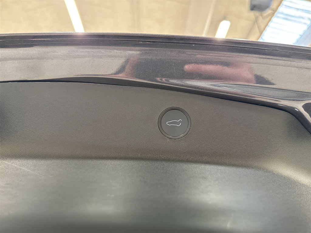 Tesla Model 3 Standard Range billede 21