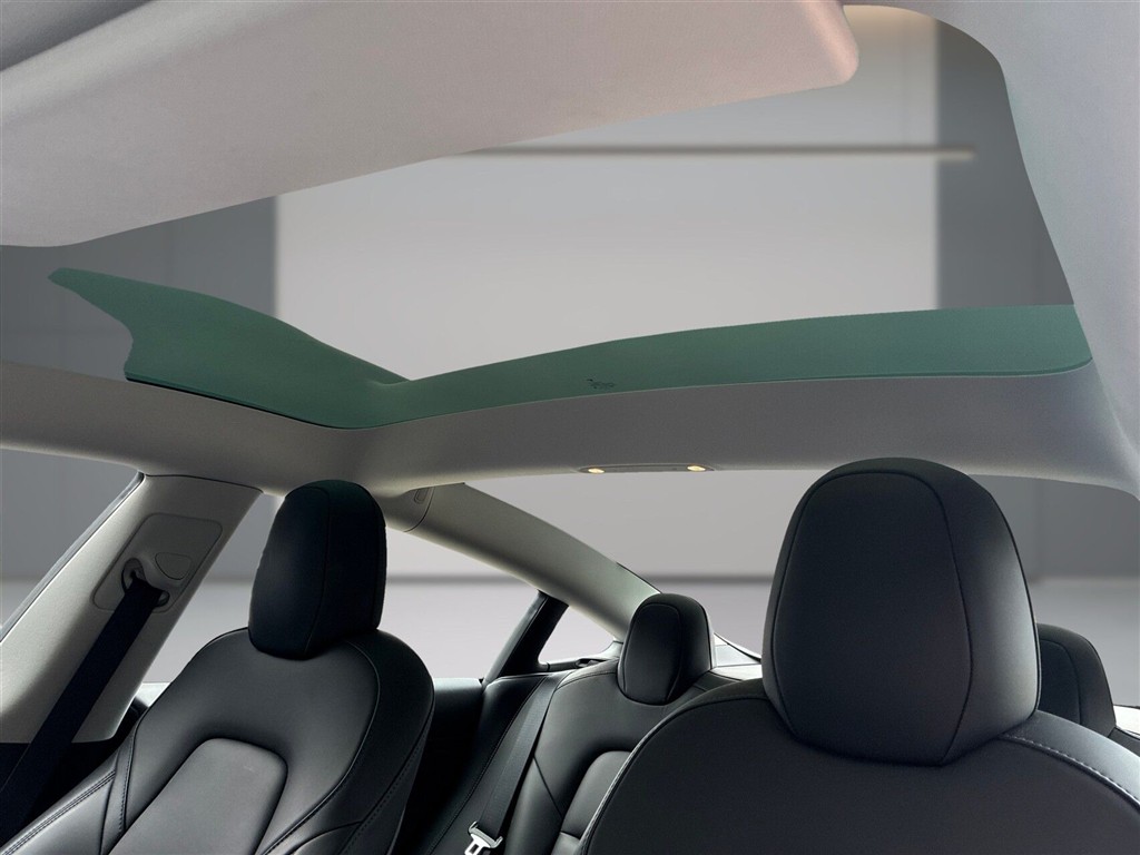 Tesla Model 3 Standard Range Plus billede 9