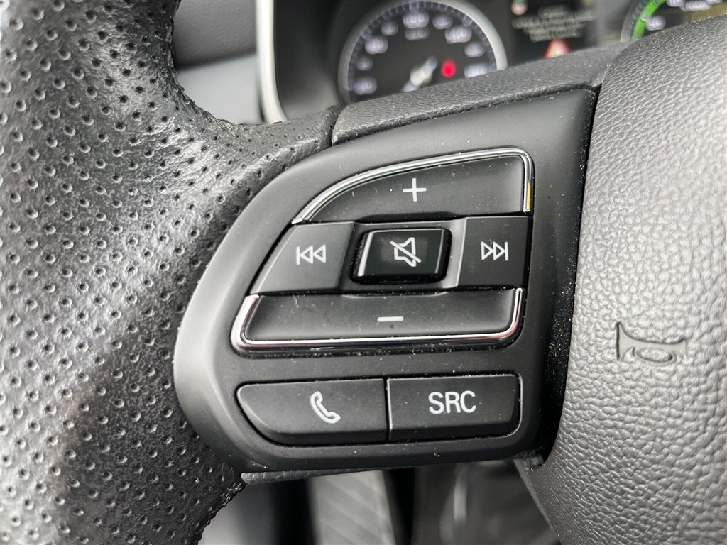 MG ZS EV Luxury billede 16