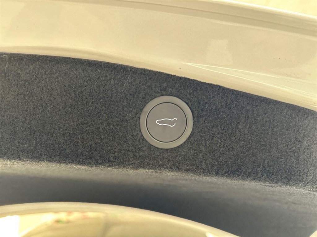 Tesla Model 3 Standard Range billede 21