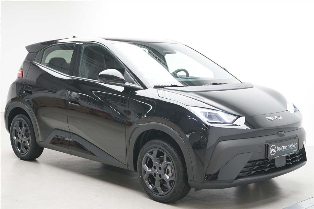 BYD Dolphin Surf Boost billede 3