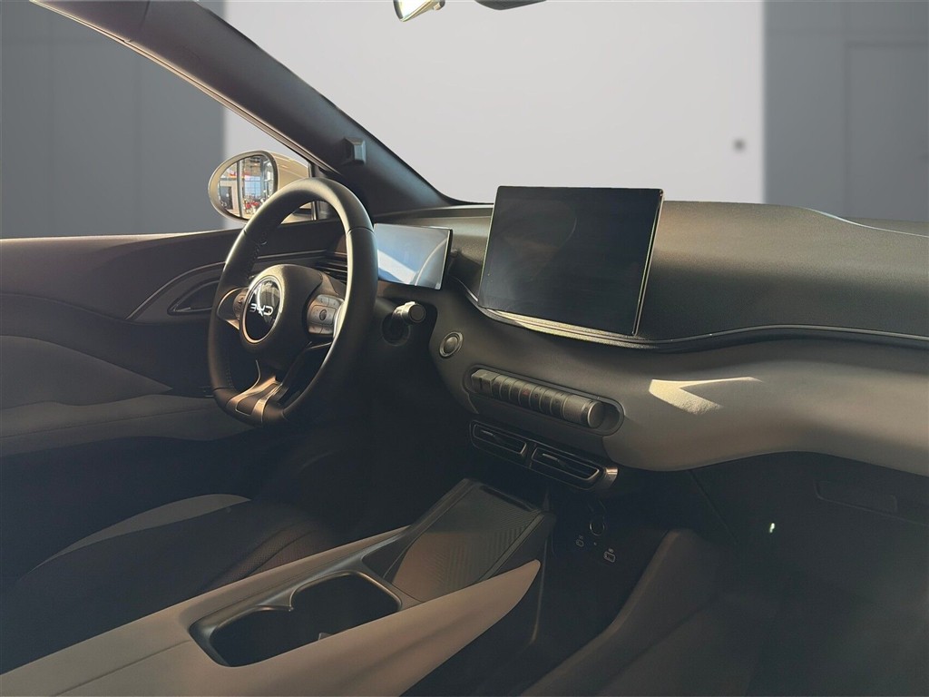 BYD Dolphin Surf Boost billede 6