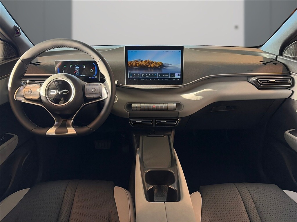 BYD Dolphin Surf Boost billede 9