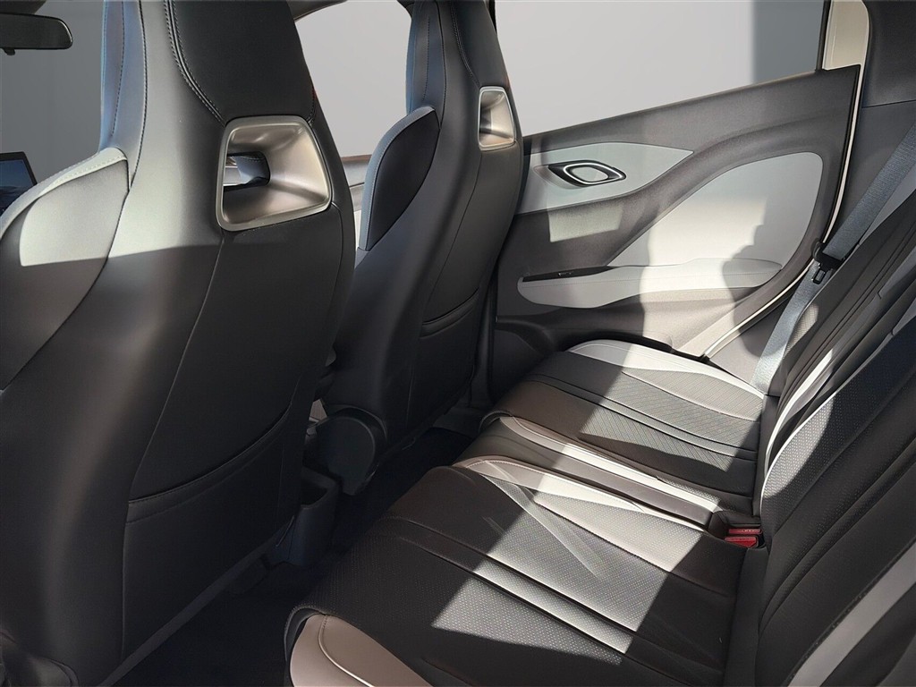 BYD Dolphin Surf Boost billede 11