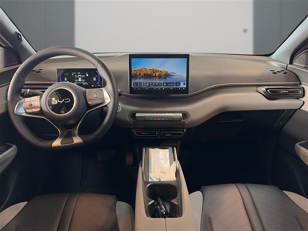 BYD Dolphin Surf Boost billede 9