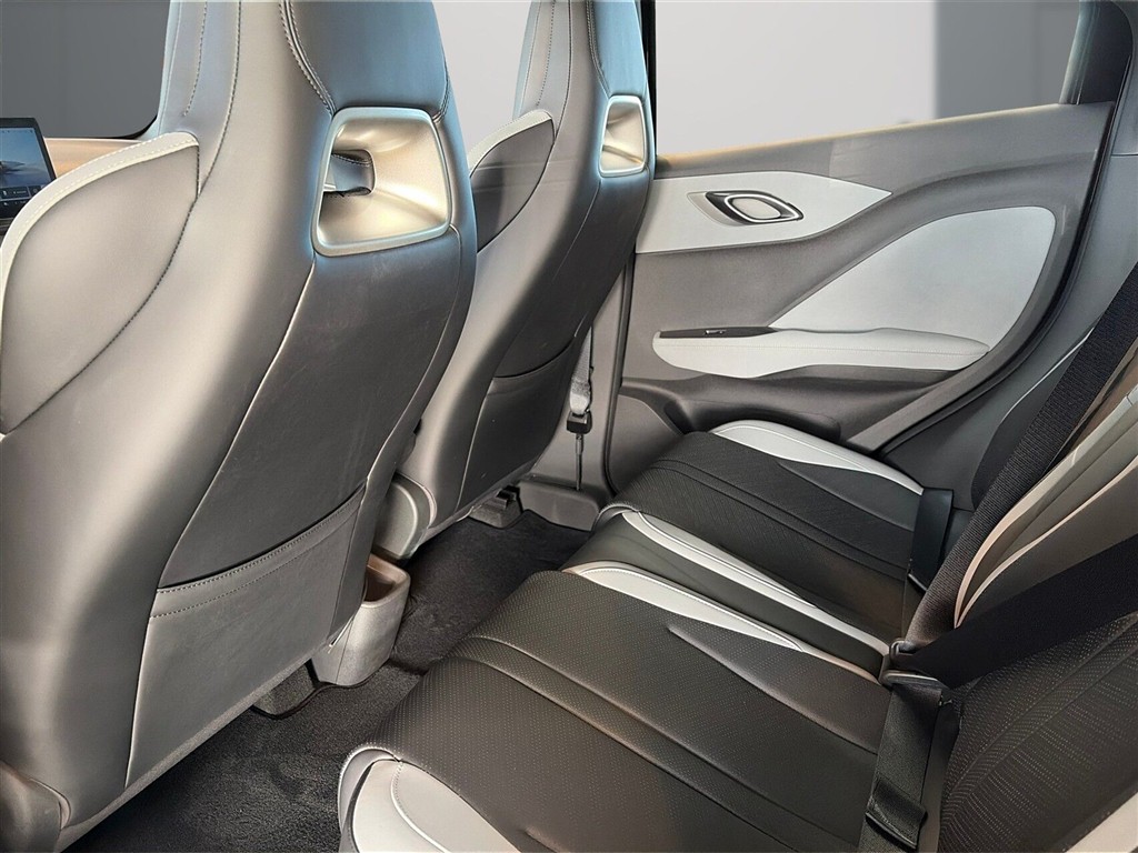 BYD Dolphin Surf Boost billede 11