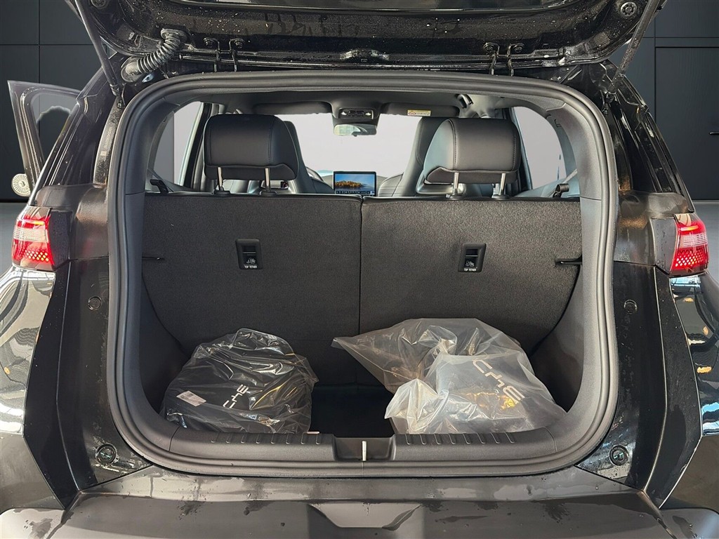 BYD Dolphin Surf Boost billede 12