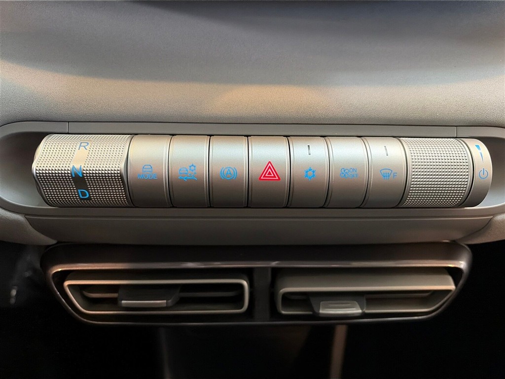 BYD Dolphin Surf Boost billede 17
