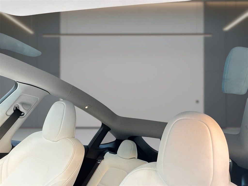 Tesla Model Y Performance billede 11